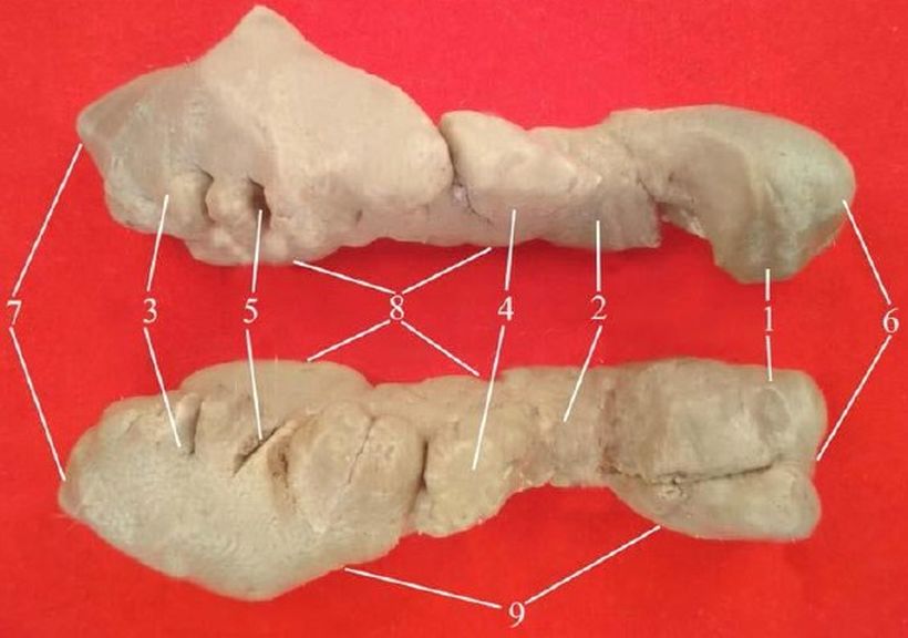 ���. 35. �������� ����� ������� ������������ � ���������� �����������