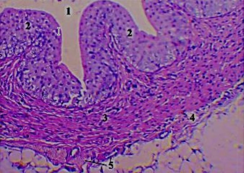 ���. 44. ���������� ������ �������