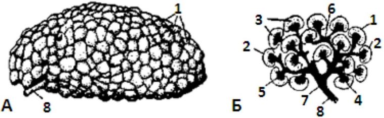 ���. 4.  ������������� ����� ��������