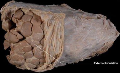 ���. 5. ������������� ����� ��������