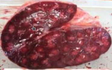 ���. 8. ������������� ����� ����� (���������� ������)