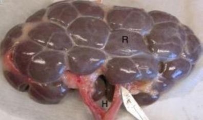 ���. 9�. ������������� ����� ������ ������� (���������� ������)