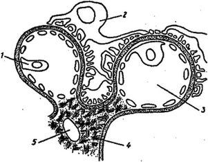 ���. 24. ��� �������� ����������� ����������