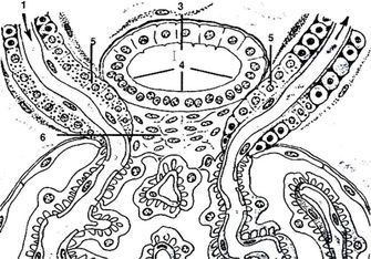 ���. 28. ����� �������� ������������������� ��������