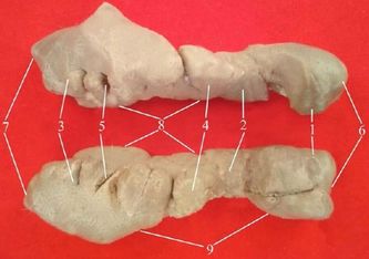 ���. 35. �������� ����� ������� ������������ � ���������� �����������