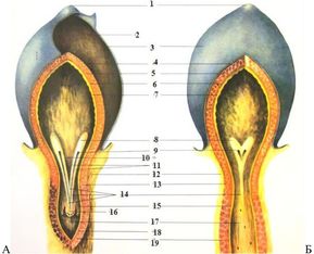 ���. 45. ������� ������ � ������������������ ����� ����� � ������