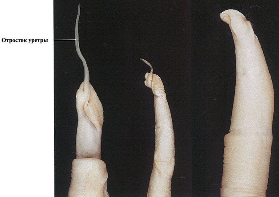 ���. 23. ������� ������ ������, �����, ����