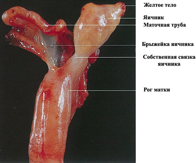 ���. 37. ����� �������� ������� �����