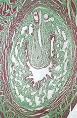 ���. 19. ��������������� �������� ����������������� ������