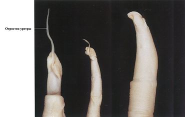 ���. 23. ������� ������ ������, �����, ����