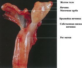 ���. 37. ����� �������� ������� �����