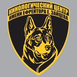 ������� �������������� ����� ��. ��������� �. �������