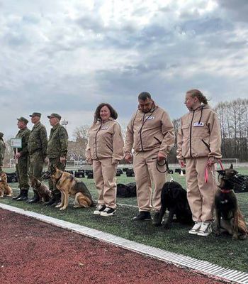 ���� ���������