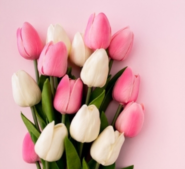 ������������ ������� �������������� ��� � ������������� ������� ����