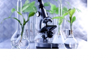 II ���� �������� �� ������ ������� ������ ����� ���������, ���������� � ������� ������ ������ �������� ��������������� � ������� ����������� ������ � 2023 ����