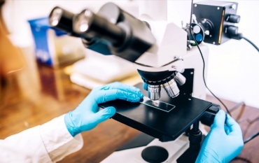 �������� ����� ������ �� ��������, ����������� �� �������� ��������������� ��������� ������� ������