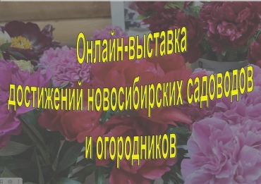 ������-�������� ���������� ������������� ��������� � �����������