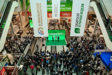 �������� � ������������� ���� ������� ������� � VI ������������� ��������������������� ������ � � �������� ���������� �������� �������