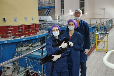 Ветеринарный центр НГАУ совместно с АНО «Сиббиотех» провели перспективную методику лечения злокачественных опухолей