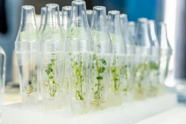 ��������� ����������� ���������� ������������ ����� � ���������� �� ������������� ��������-������ ��������