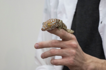 ���� ���������� ����� � ������������� ���