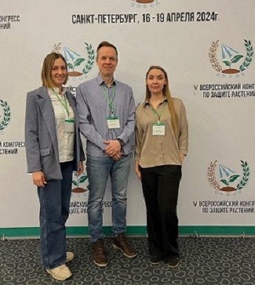 V ������������� �������� �� ������ �������� - 2024