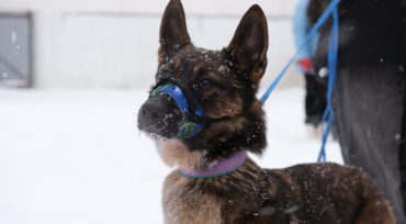 ����������� - �������� �������������� ��� ����������� 2 ����� ��� ���������� ������ ����� � ���� ���������� ���