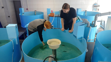 ����� ������������: ��� ��������� ������� ��������