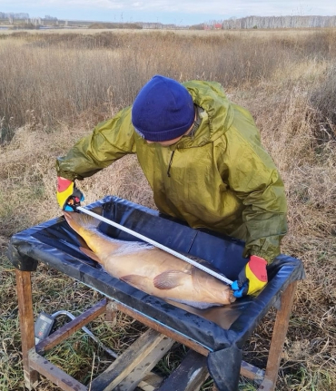 7 �������� - ���� ��������!