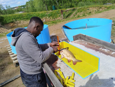 �������� �� ��������: ����������� ����� � ��������!