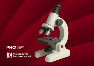 ������ ������������ ������������� ����� ������������ ��������� ����������� �������� �����