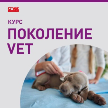 ����� � ���������� VET�!