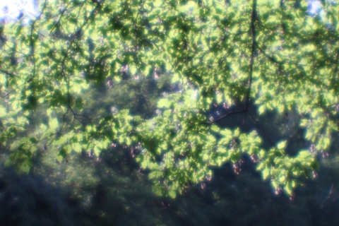 ��������� ����� ��������� ������������ ��� ���������� ��������������