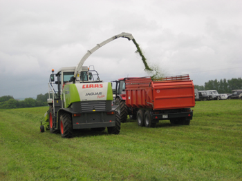 � ���������� ������� ����������� ������ ������