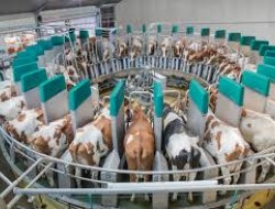 � ���������� ��������������� ������-������������ ����������� ��� ������������ �������� �������������� ��������� ��������� ��� ������ ����������� ����������������� ������������ ������ � �����������������