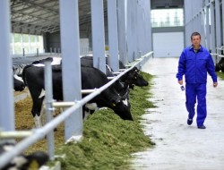 ����� ���������� �������������������� ����������� � ������������� ������� �����������