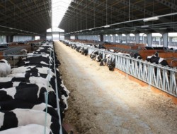 � ������� ���������� ���������������� ��������� � ���� ���������� 71%