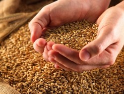 ������������� ��������� �������� ������� ��� ��������� ��������������� ���������