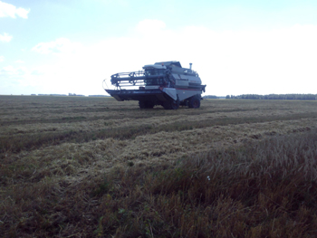 � ���������� ������� ������ ����� ����� �������� � ������������ �������