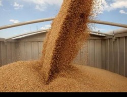 ���������� ��������������� ����������� � ��������� ����� ������ 2016 ����