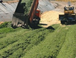 ������������� ������� ��������� ���� �� ��������� ������