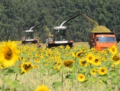 ����� �� ��������� ������ � ������������� ������� �������������