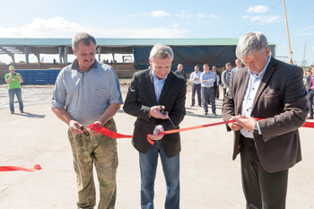 ����������� �������������� �������� ������� � ��������� �������