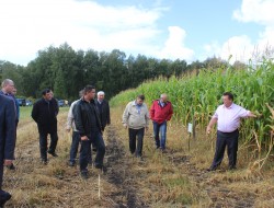 ������� �� ������� �������� ��������