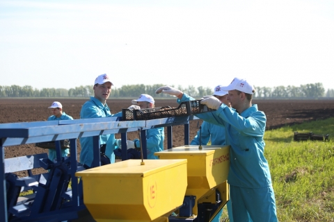 Молодые ученые Новосибирского ГАУ на посадке картофеля