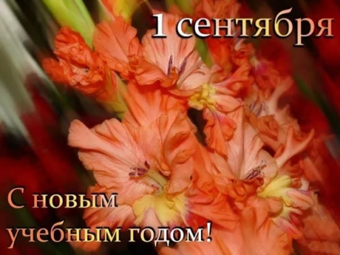 ��������� ������������� � ������� ��������!!!