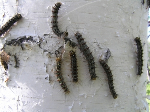 �������� ����� �������� ���������� ��������� ������� ��������� - ��������� ����������