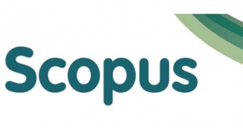 ������ ������ � ���� Scopus