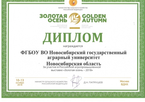 Участие НГАУ в Золотой осени
