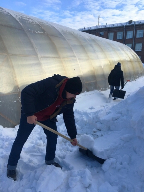 ������ �����